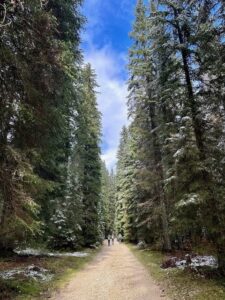 Juliana Trail Pokljuka