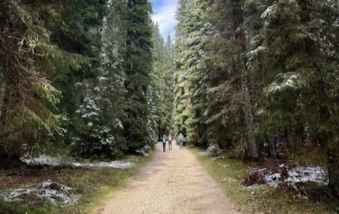 Juliana Trail Pokljuka Naslovna