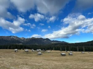 Planina Zajavornik